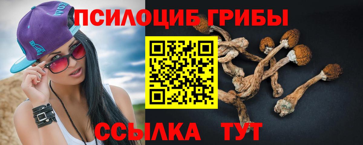 Чита  наркотики  Вход с VPN  Галлюциногенные грибы GOLDEN TEACHER  Галлюциногенные грибы Cubensis 
